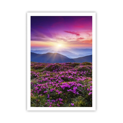 Plakat - Urter duftede friske bundter fra niw - 70x100 cm