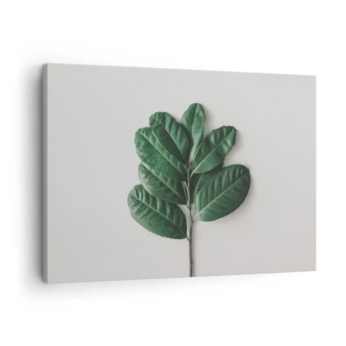 Lærredstryk - Billede på lærred - En kvist grønne blade på en lys baggrund - 70x50cm - Tegning af selve naturen - Moderne vægdekoration til stue og soveværelse ARTTOR
