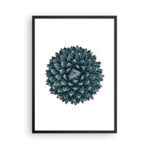 Plakat i sort ramme - Detalje af en sukkulent med et symmetrisk bladarrangement - 50x70cm - Ørkenstjerne - Moderne vægdekoration til stue og soveværelse ARTTOR