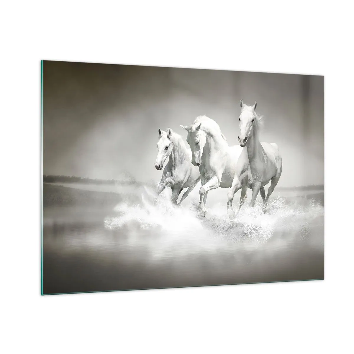 Billede på glas - Hvid galskab - 100x70 cm