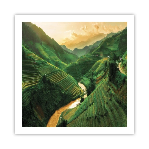 Plakat - Vietnamesisk dal - 60x60 cm