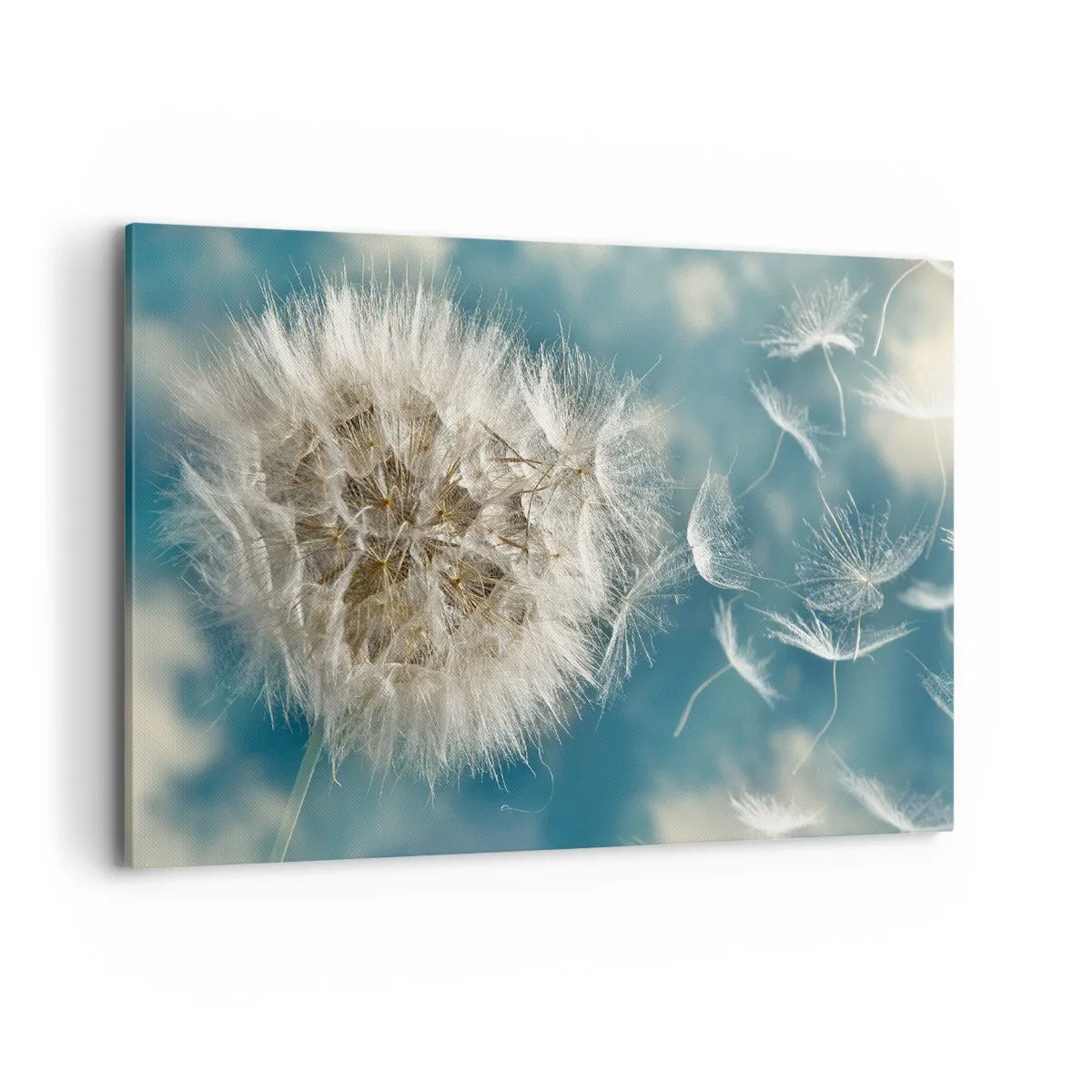 Lærredstryk - Billede på lærred - En engels åndedræt - 120x80 cm