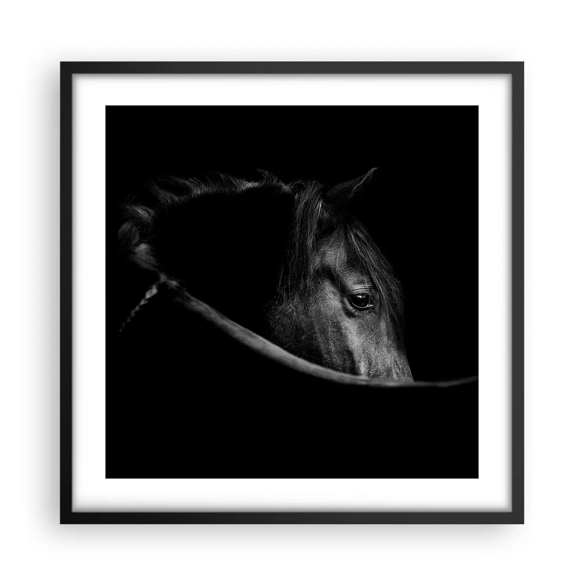 Plakat i sort ramme - Sort prins - 50x50 cm