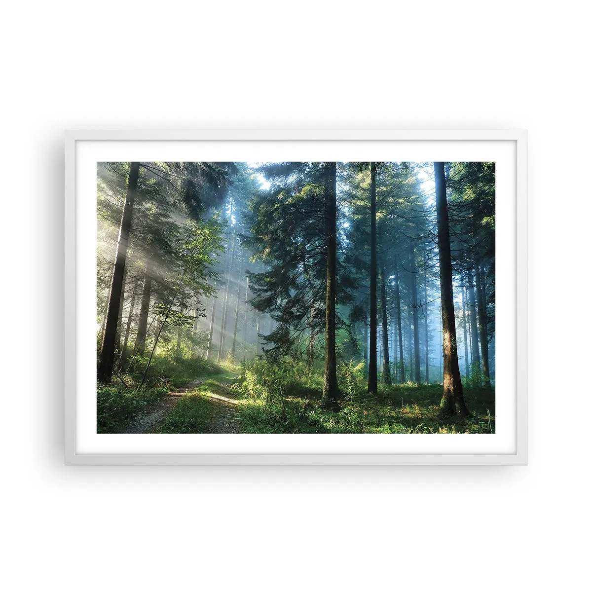 Plakat i hvid ramme - Strålende om morgenen - 70x50 cm