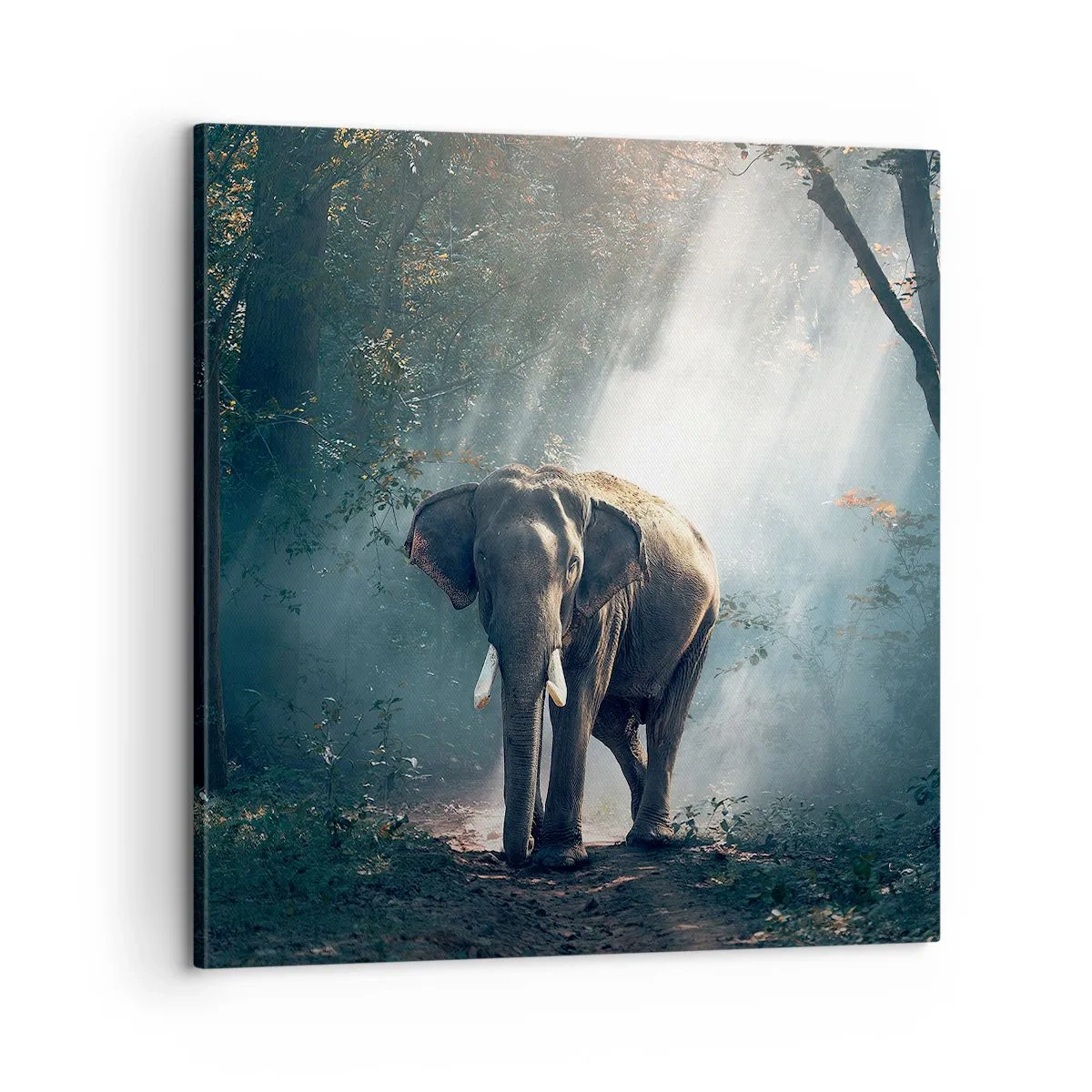 Lærredstryk - Billede på lærred - En fredelig gåtur - 60x60 cm