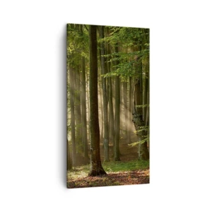 Lærredstryk - Billede på lærred - Strålende på en forårsmorgen - 45x80 cm