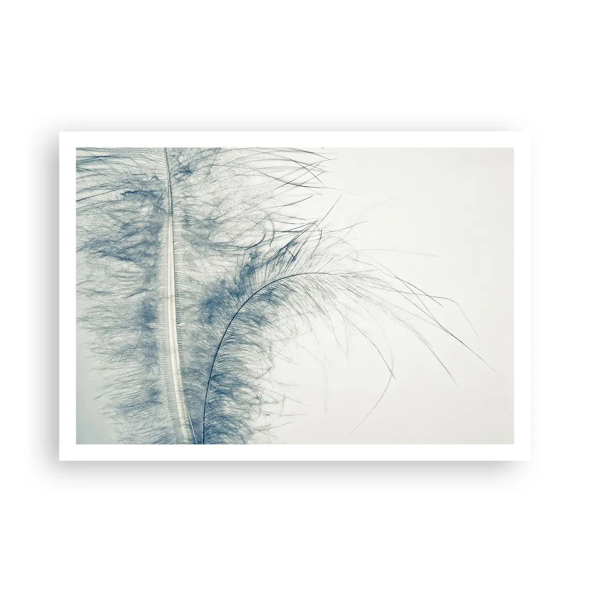 Plakat - Naturens hvisken - 100x70 cm