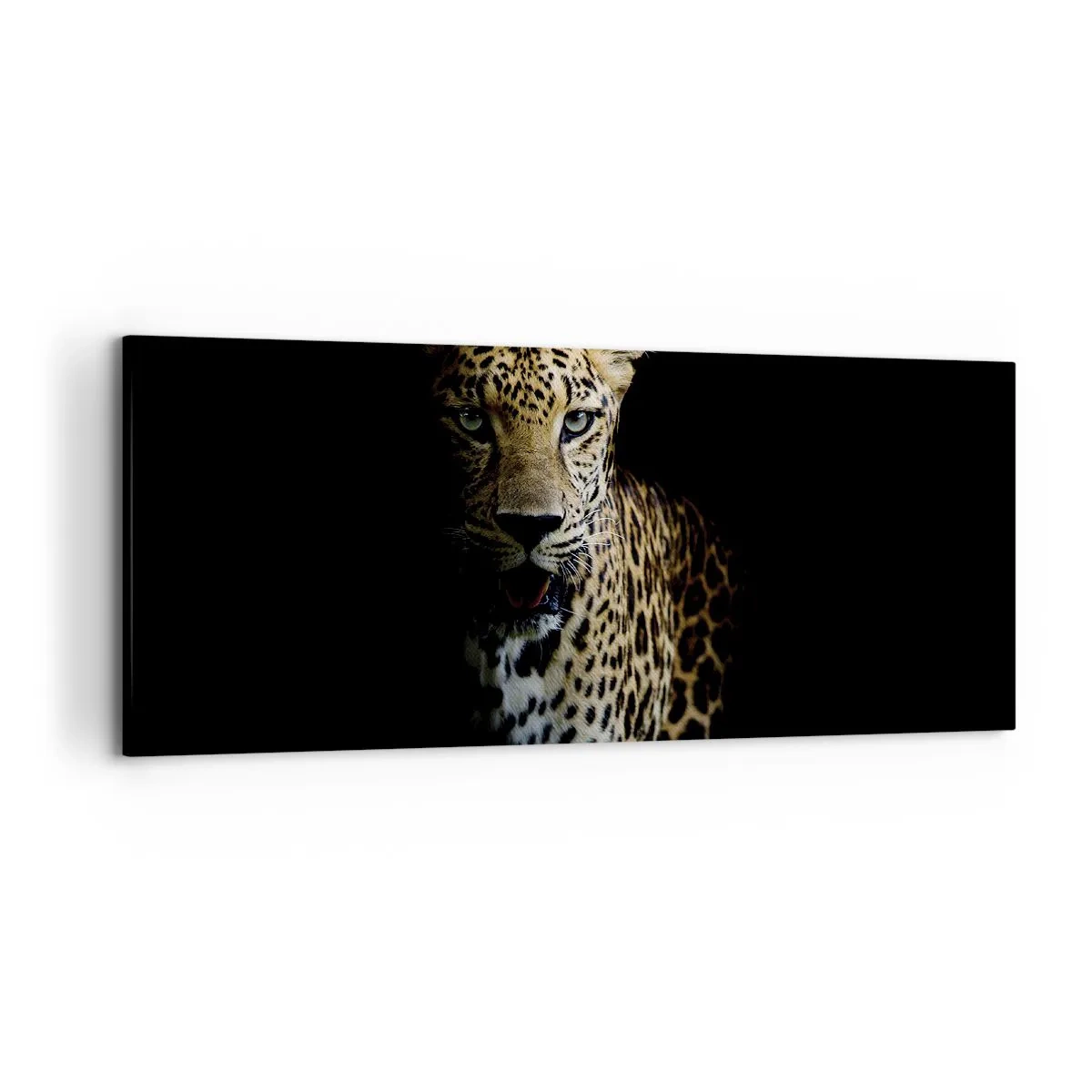 Lærredstryk - Billede på lærred - Mørk skønhed - 120x50 cm