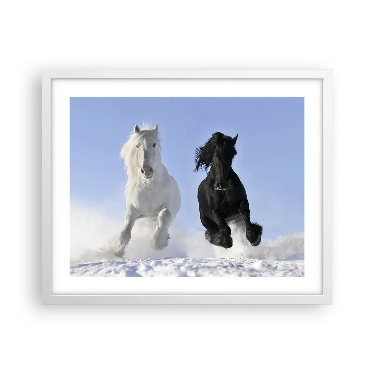 Plakat i hvid ramme - Sort og hvid galop - 50x40 cm
