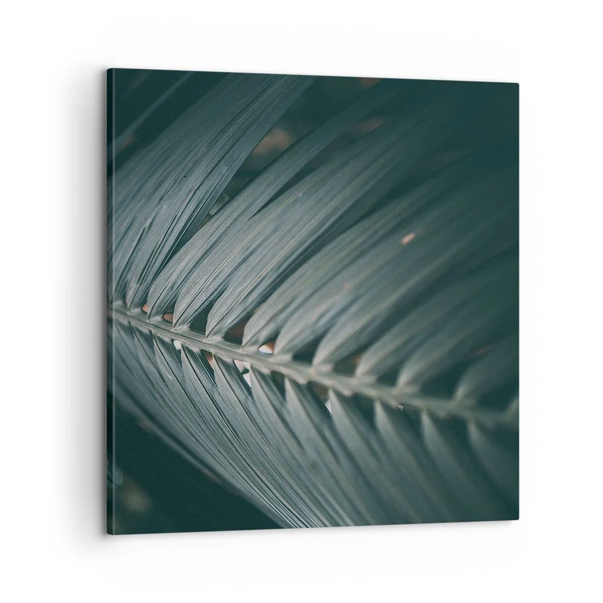 Lærredstryk - Billede på lærred - Naturens præcision - 60x60 cm