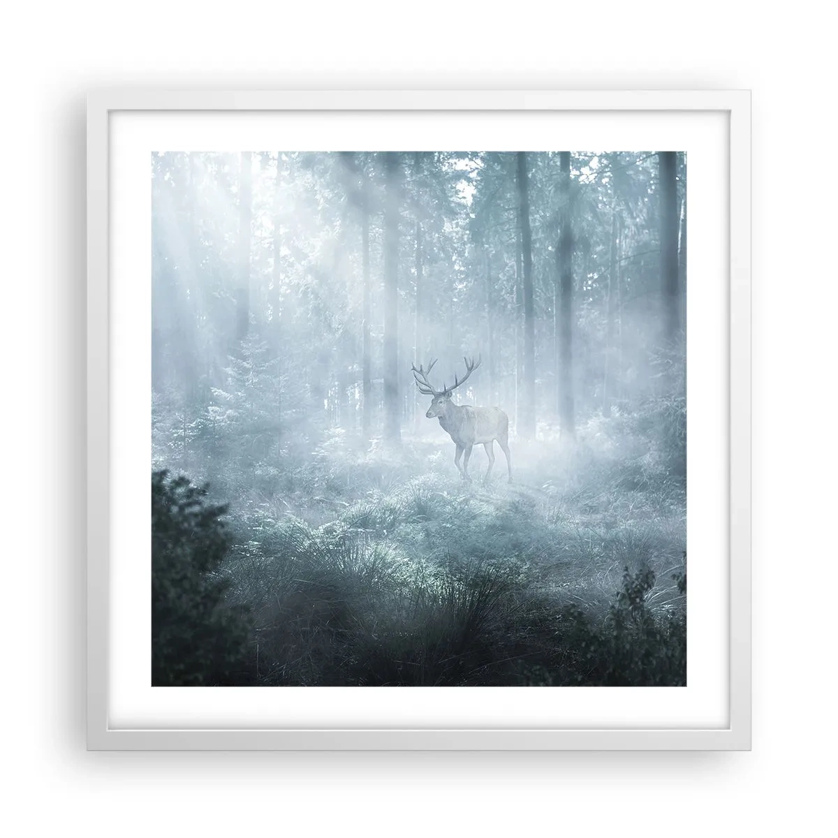 Plakat i hvid ramme - Morgenvandring rundt på godset - 50x50 cm