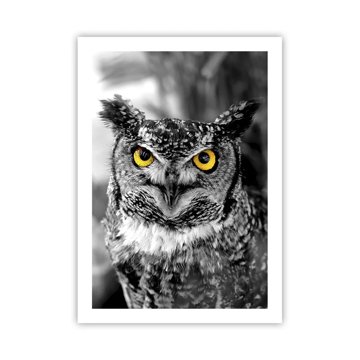 Plakat - Intet kan skjules - 50x70 cm