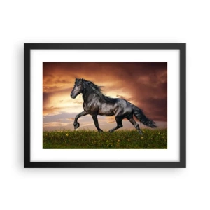 Plakat i sort ramme - Sort prins - 40x30 cm