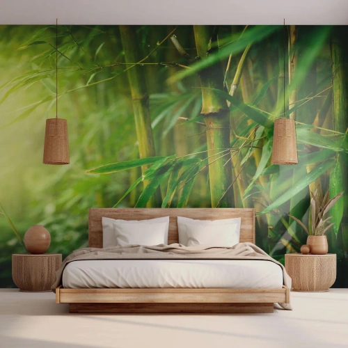 Fototapet Selvklæbende Deluxe Sticker - Lær selve det grønne at kende - Plante, Bambus, Jungle - 150x105 cm