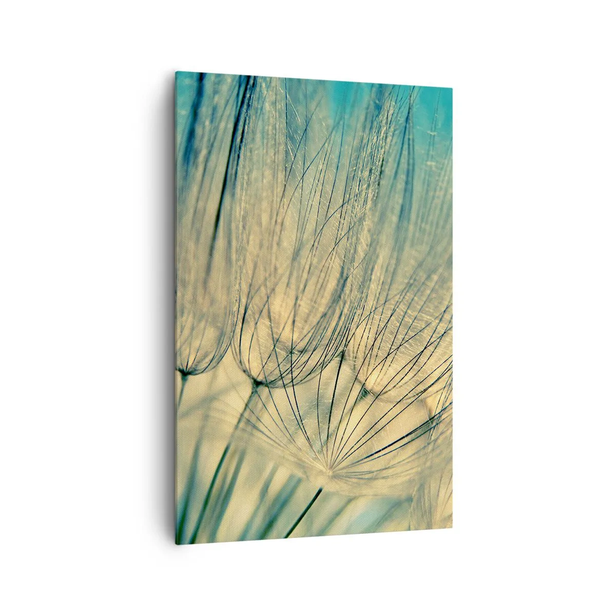 Lærredstryk - Billede på lærred - Venter på vinden - 80x120 cm