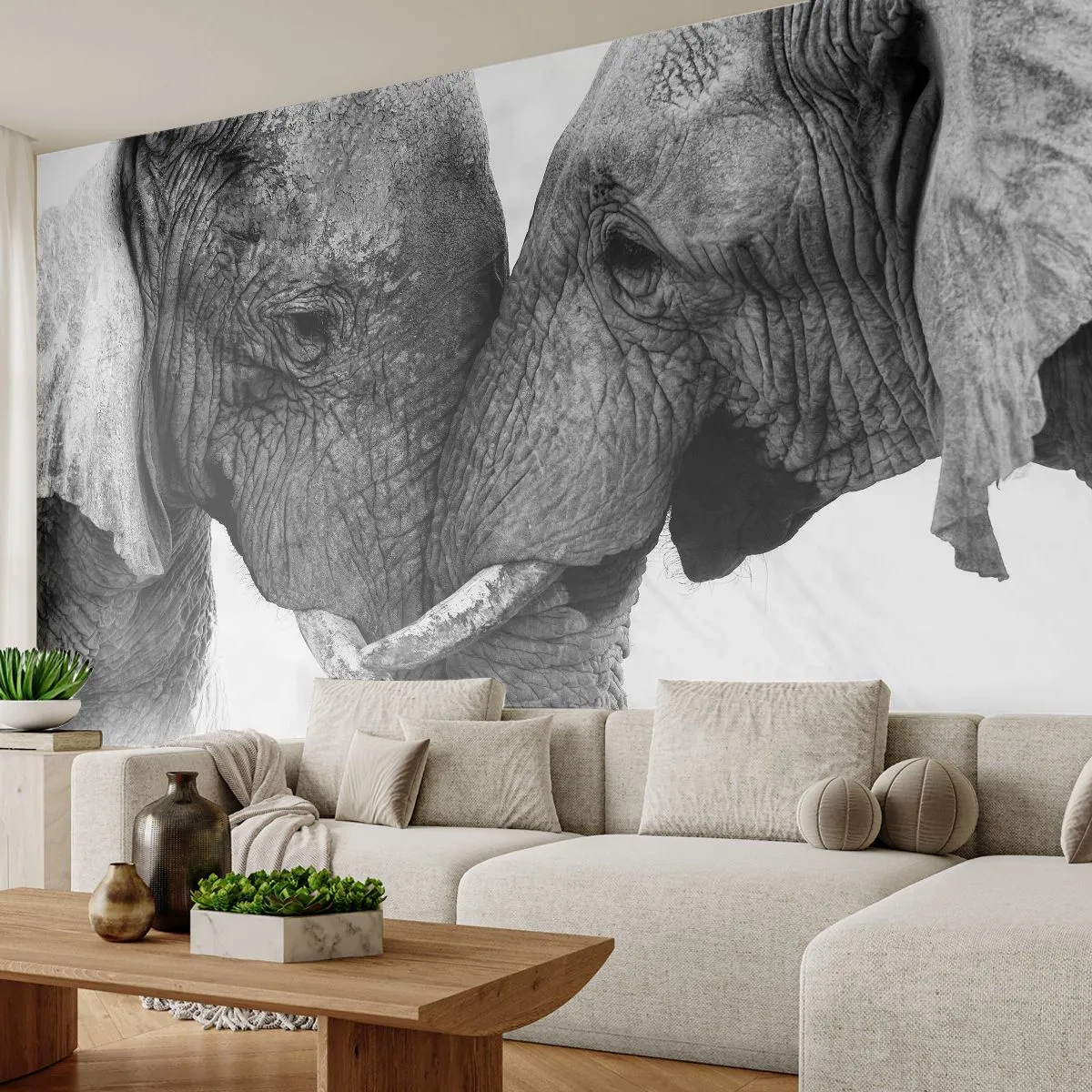 Fototapet Premium Canvas - Hjertelig tilståelse - Elefant, Dyr, Afrika - 500x350 cm