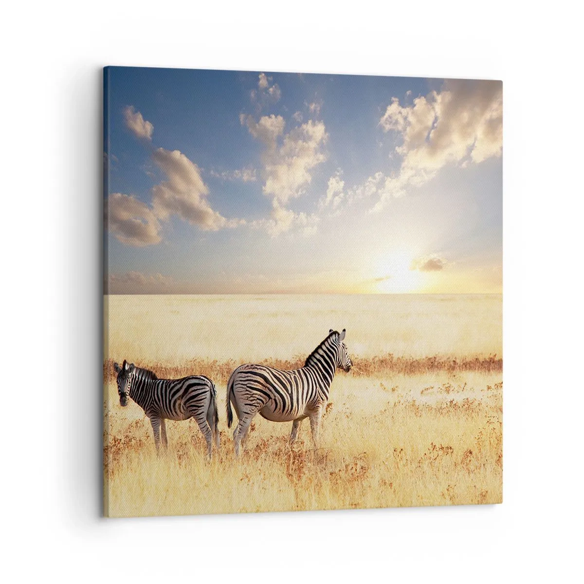 Lærredstryk - Billede på lærred - Gå væk, forstyrr ikke freden - 50x50 cm