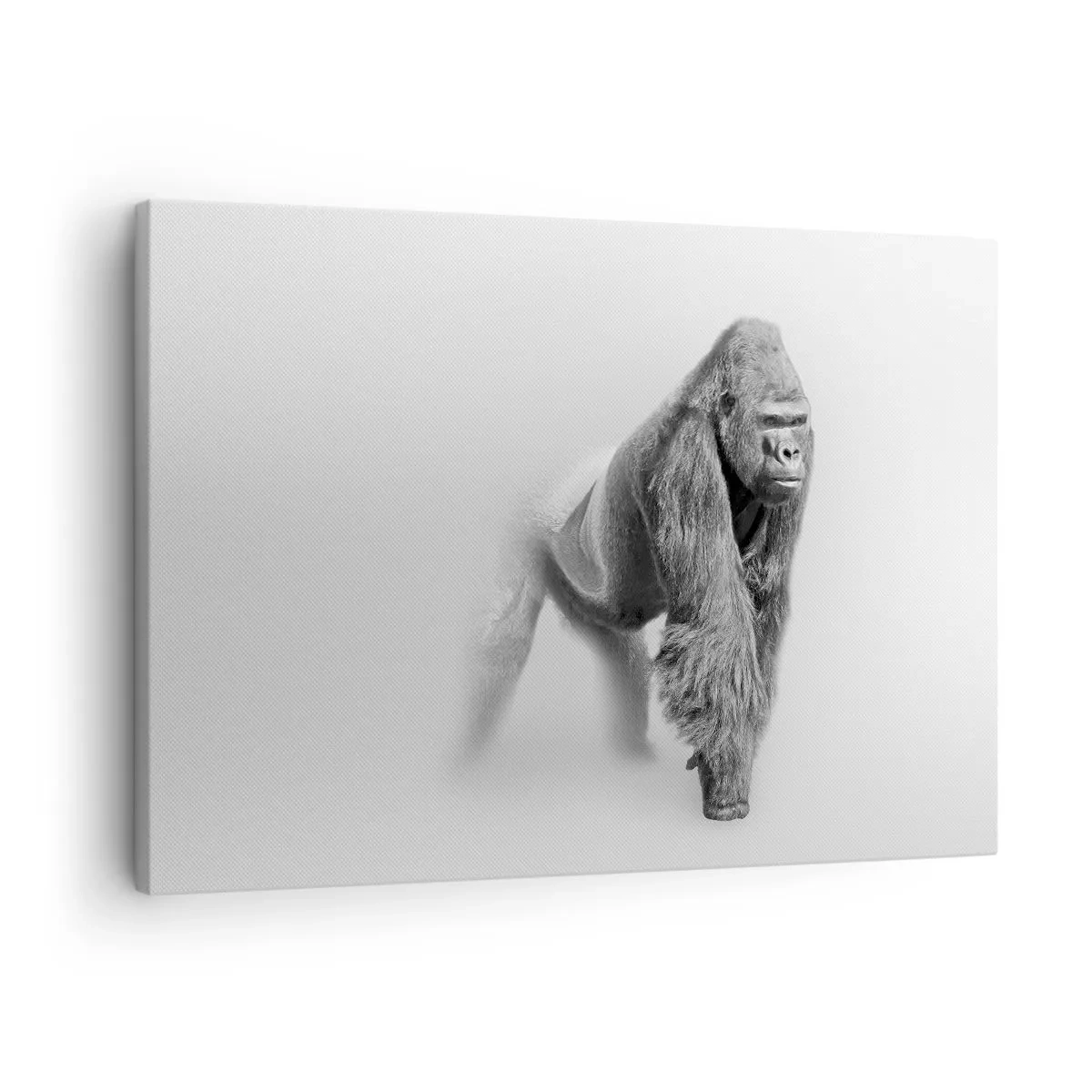 Lærredstryk - Billede på lærred - Gorilla i monokrome toner på en hvid baggrund - 70x50cm - Selvsikker på sin styrke - Moderne vægdekoration til stue og soveværelse ARTTOR