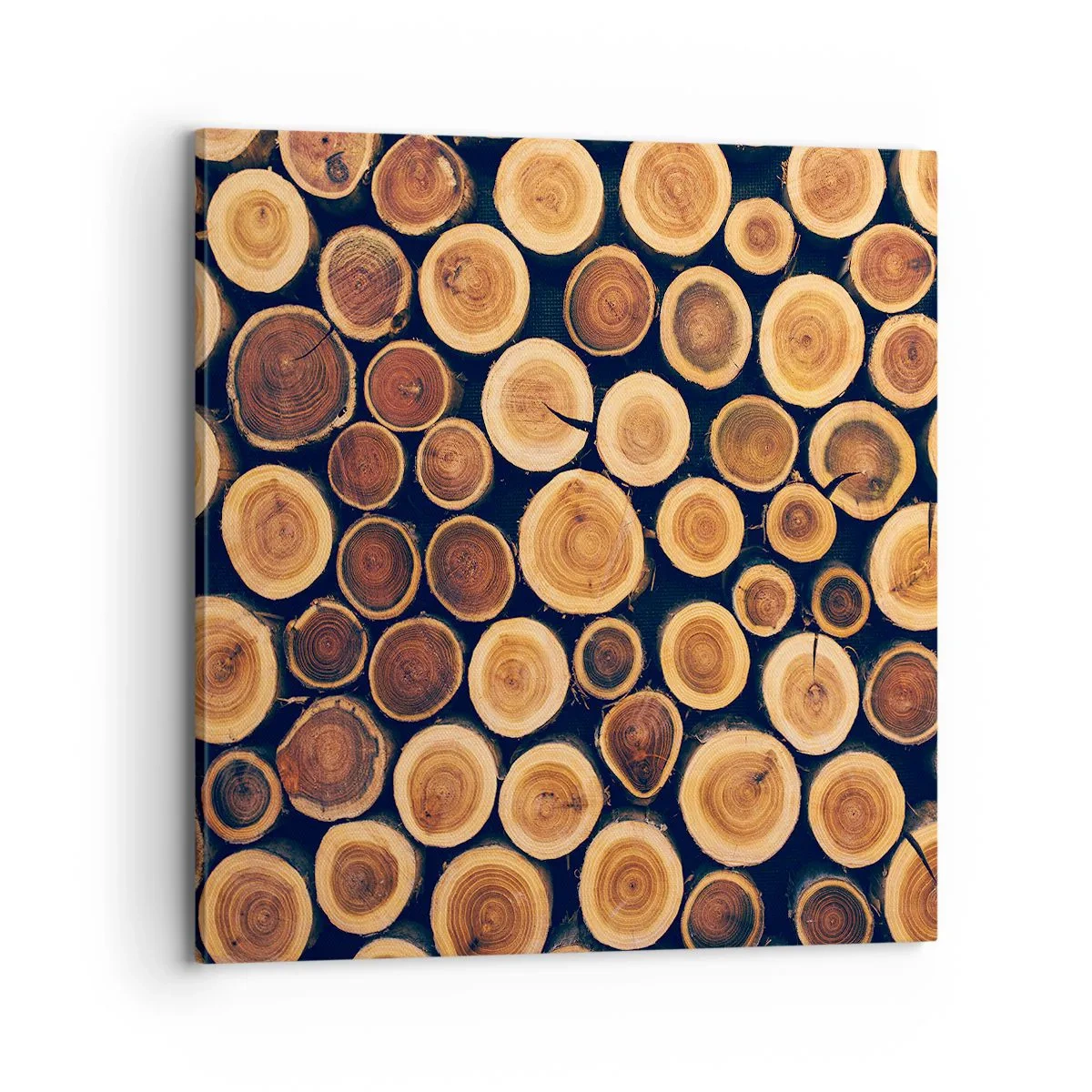 Lærredstryk - Billede på lærred - Hvor gammel ser jeg ud? - 70x70 cm