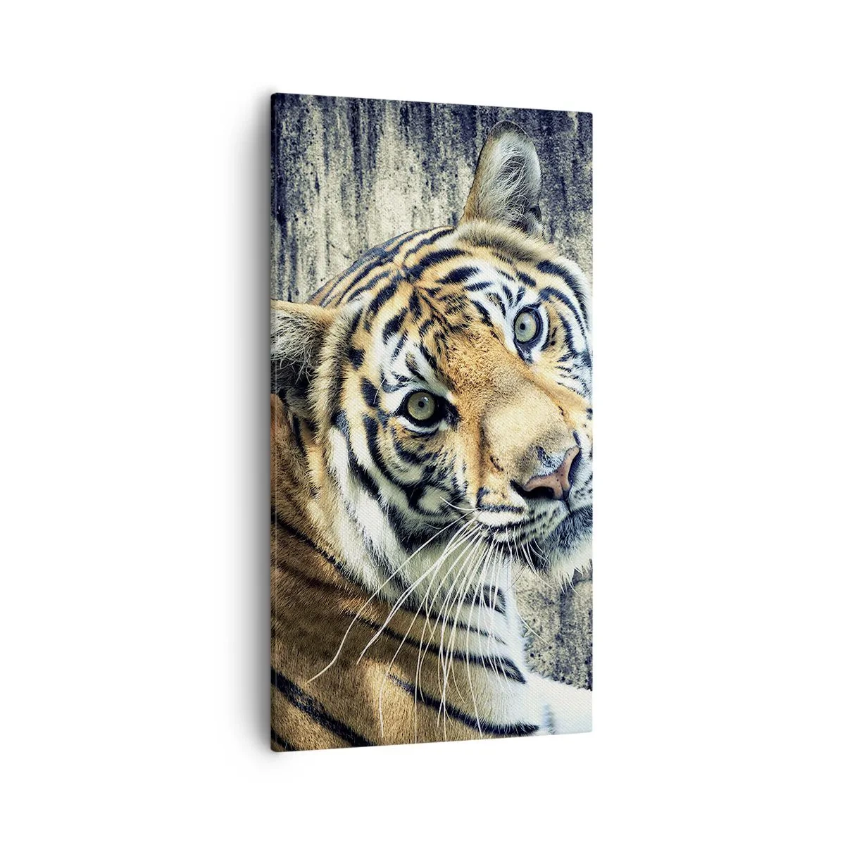 Lærredstryk - Billede på lærred - Portræt i lysstrømme - 55x100 cm