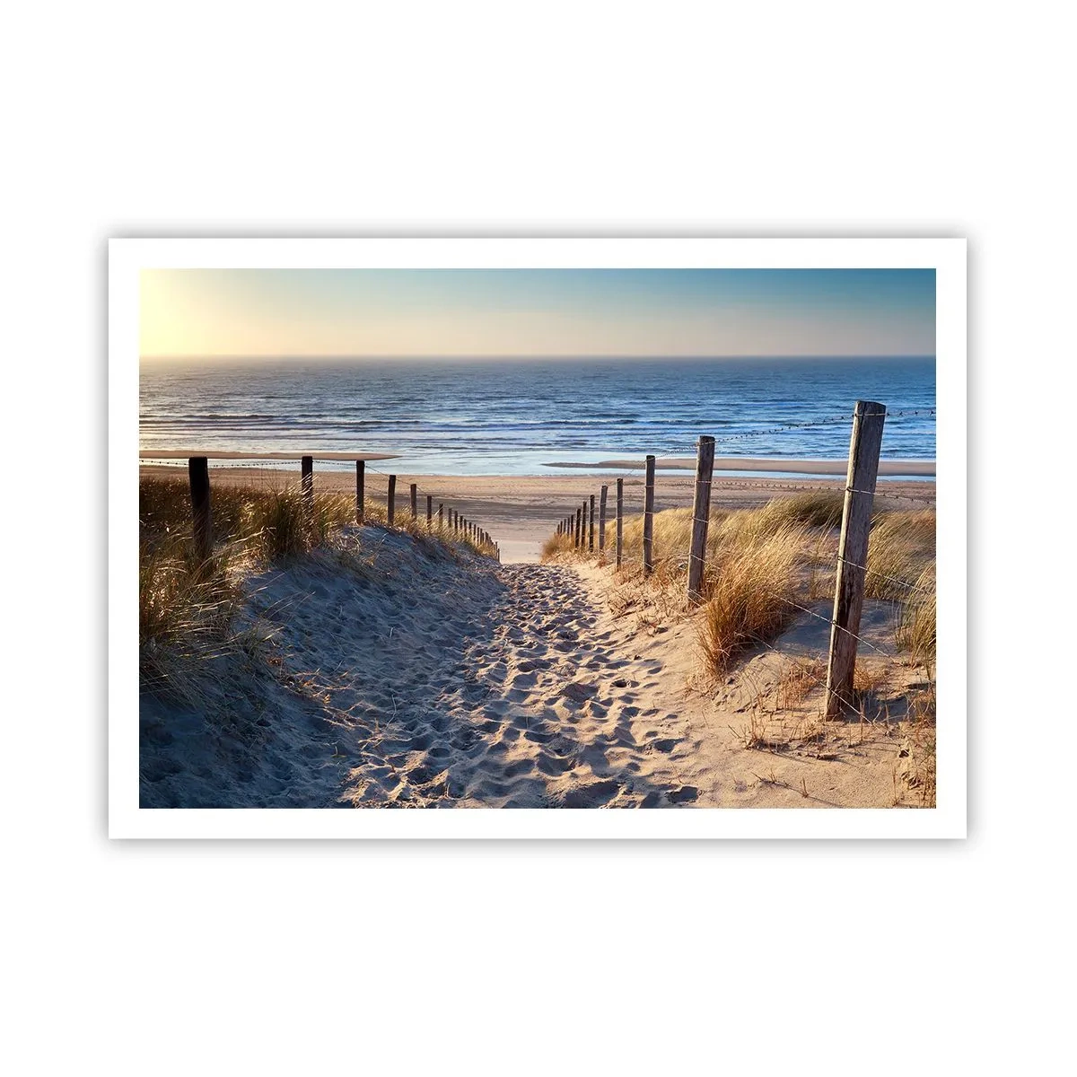 Plakat - Havet brummer, fuglene synger, en vild strand midt i græsset.... - 100x70 cm