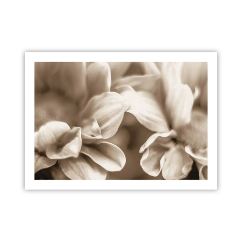 Plakat - Blid som et smil - 70x50 cm