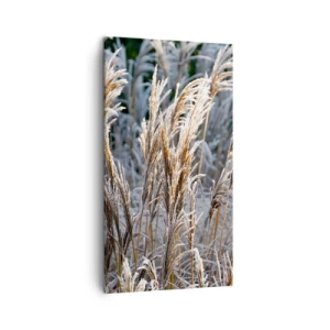 Lærredstryk - Billede på lærred - Pyntet med frost - 45x80 cm