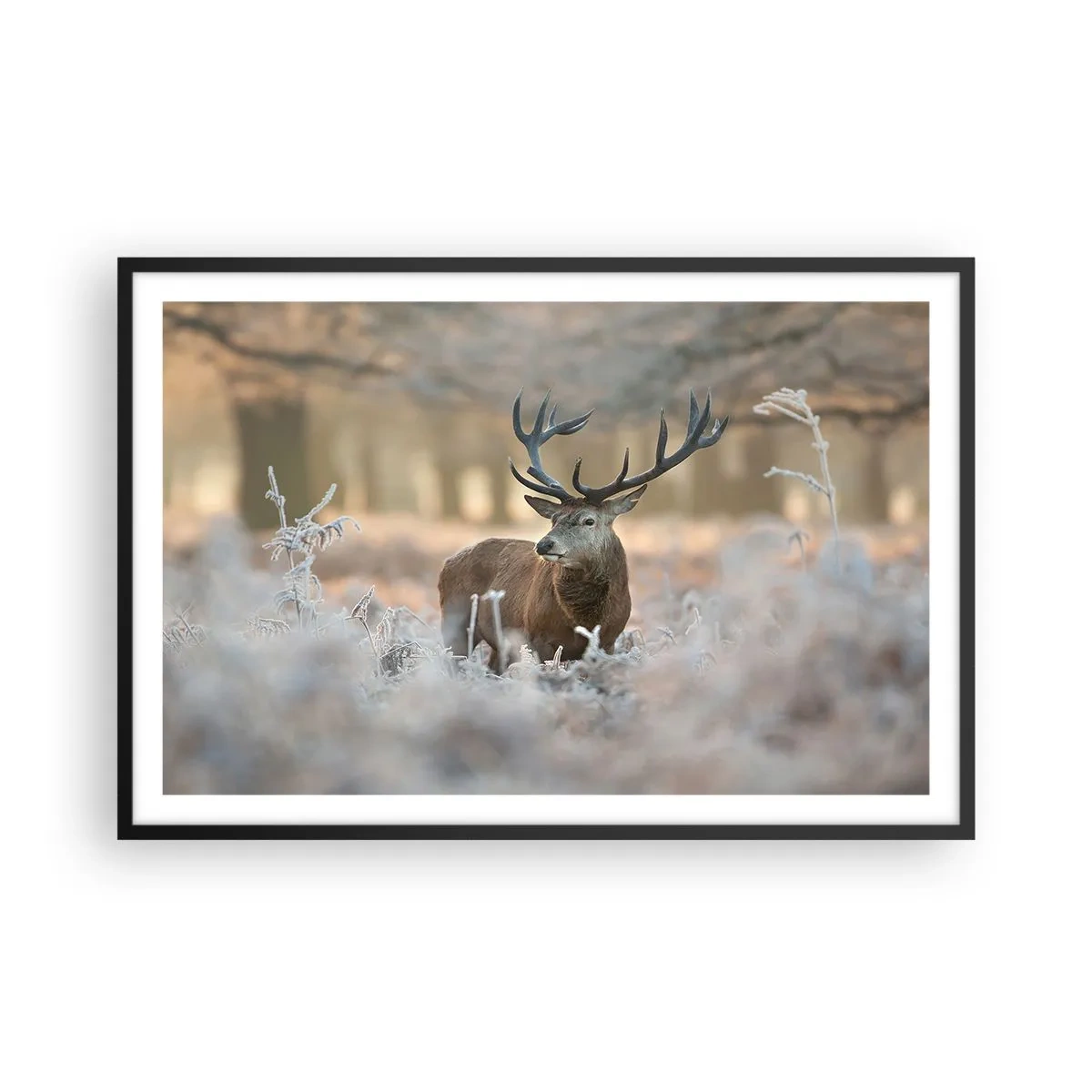 Plakat i sort ramme - En frisk morgen - 91x61 cm