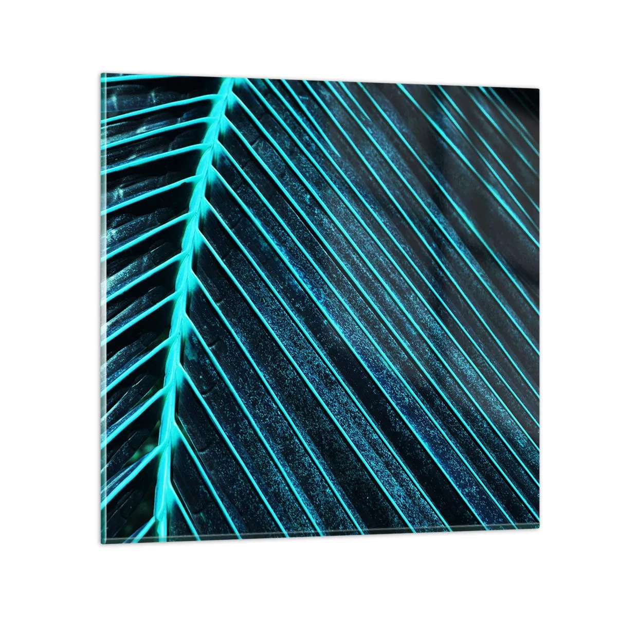 Billede på glas - Tekstur af grønt - 70x70 cm