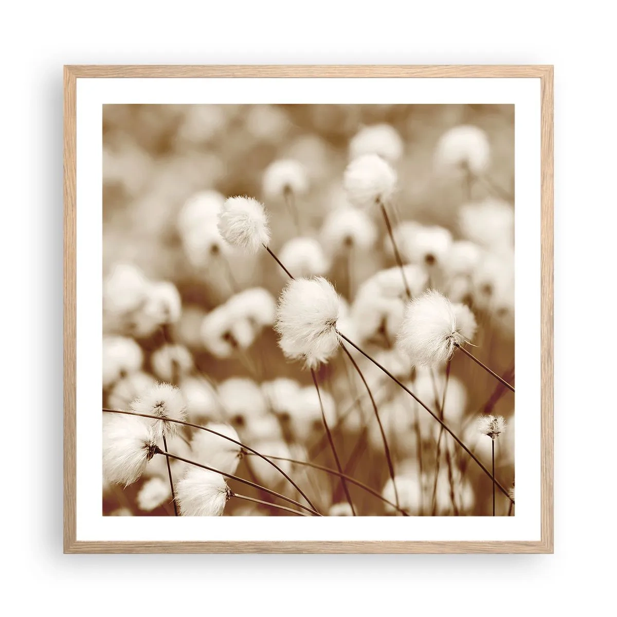 Plakat i ramme af lyst egetræ - Fyldig mark - 60x60 cm