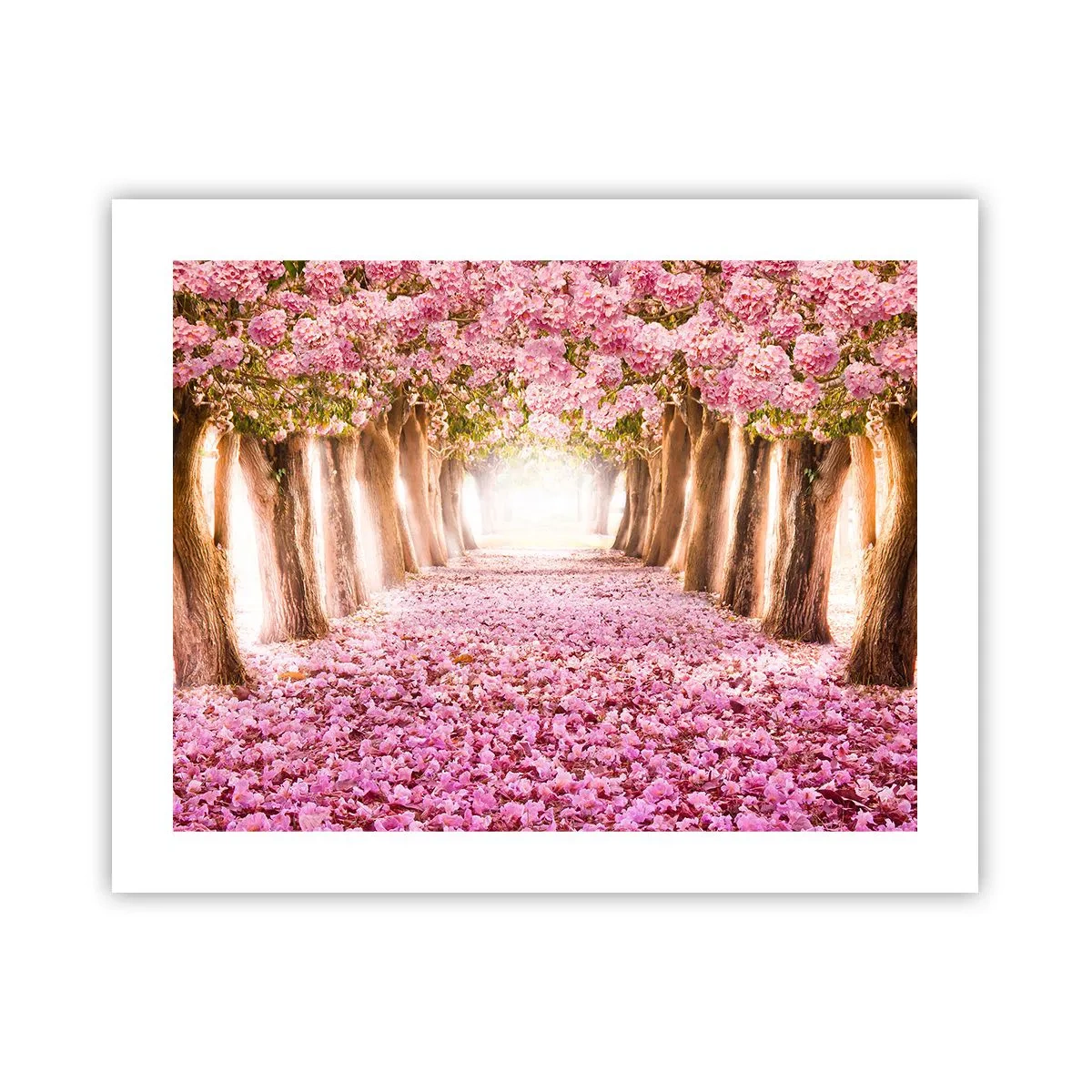Plakat - Vejen til paradis - 50x40 cm
