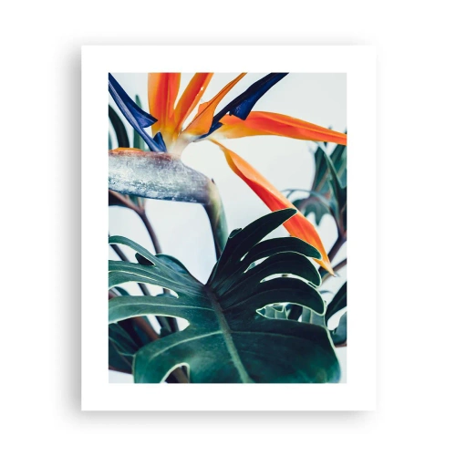 Plakat - Fuglebur - 40x50 cm