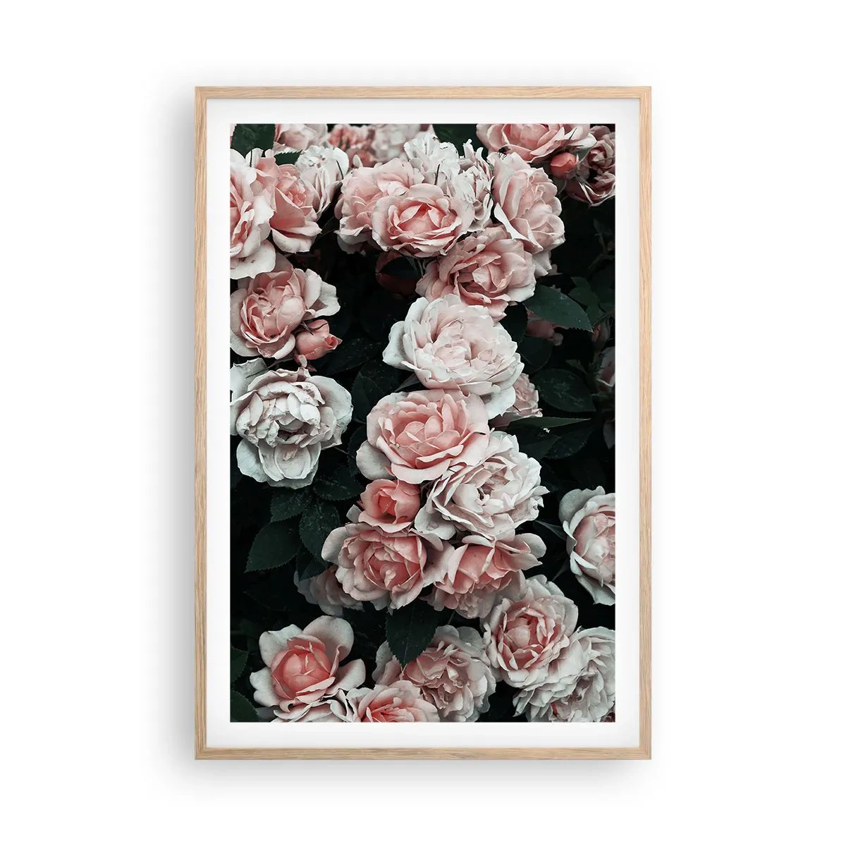 Plakat i ramme af lyst egetræ - Lyserød ansamble - 61x91 cm