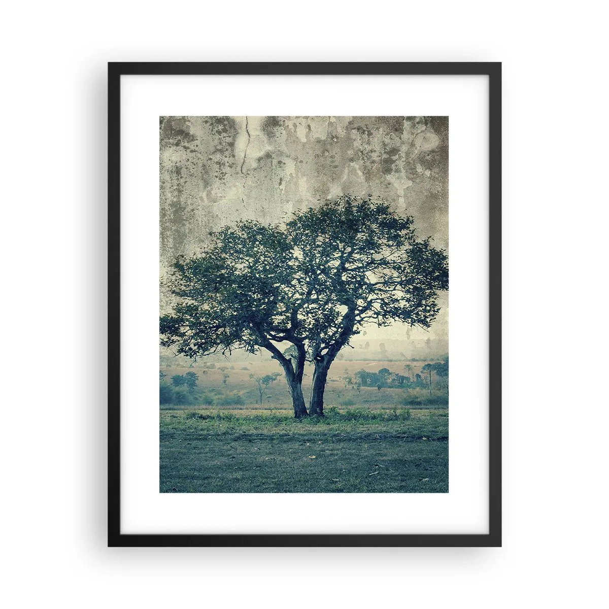 Plakat i sort ramme - Et æbletræ på en blå membran? - 40x50 cm