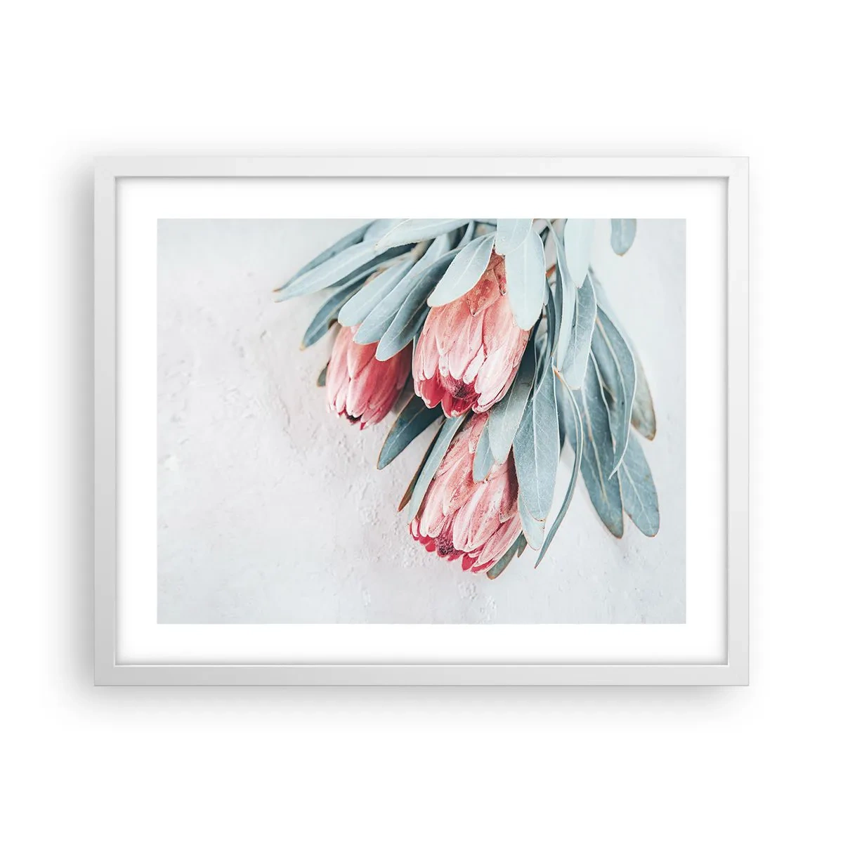 Plakat i hvid ramme - Skammer sig over deres egen skønhed - 50x40 cm