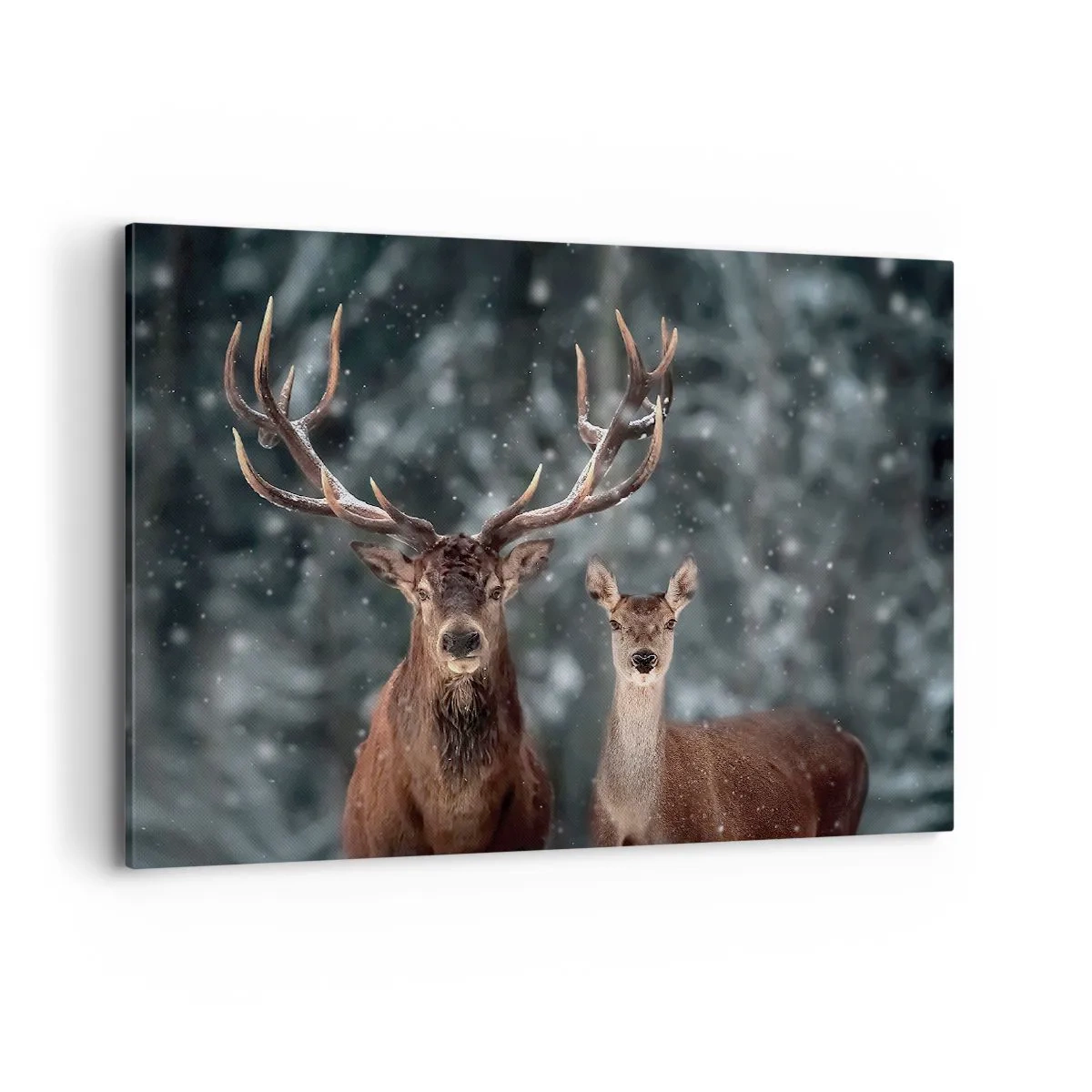 Lærredstryk - Billede på lærred - Skovens herre og hans kone - 100x70 cm