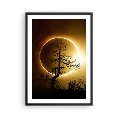 Plakat i sort ramme - En fænomenal solnedgang med et træ i forgrunden - 50x70cm - Total formørkelse - Moderne vægdekoration til stue og soveværelse ARTTOR