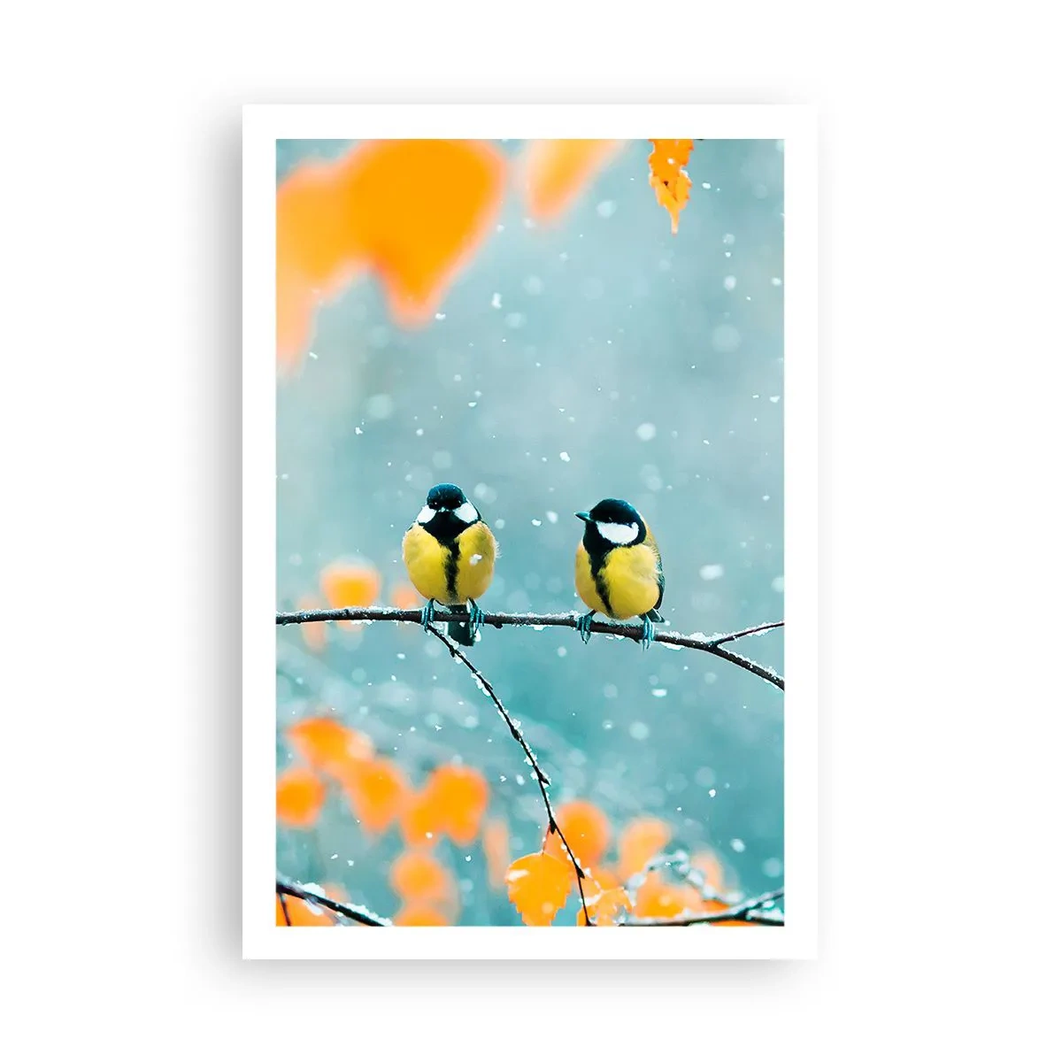 Plakat - Sladder om fugle - 61x91 cm