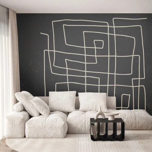 Fototapet Standard Eco - Ikke helt så enkel - Abstraktion, Stykke, Sort og hvid - 250x175 cm