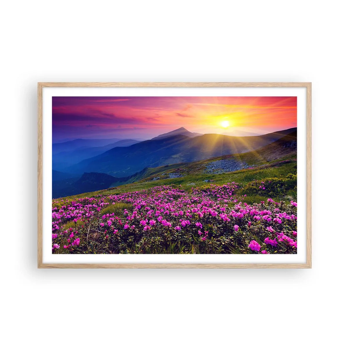 Plakat i ramme af lyst egetræ - ... Og rundt omkring dufter det af fyrretræer og krydderurter - 91x61 cm