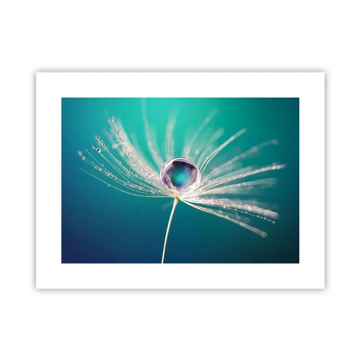 Plakat - Mystisk øjeblik - 40x30 cm