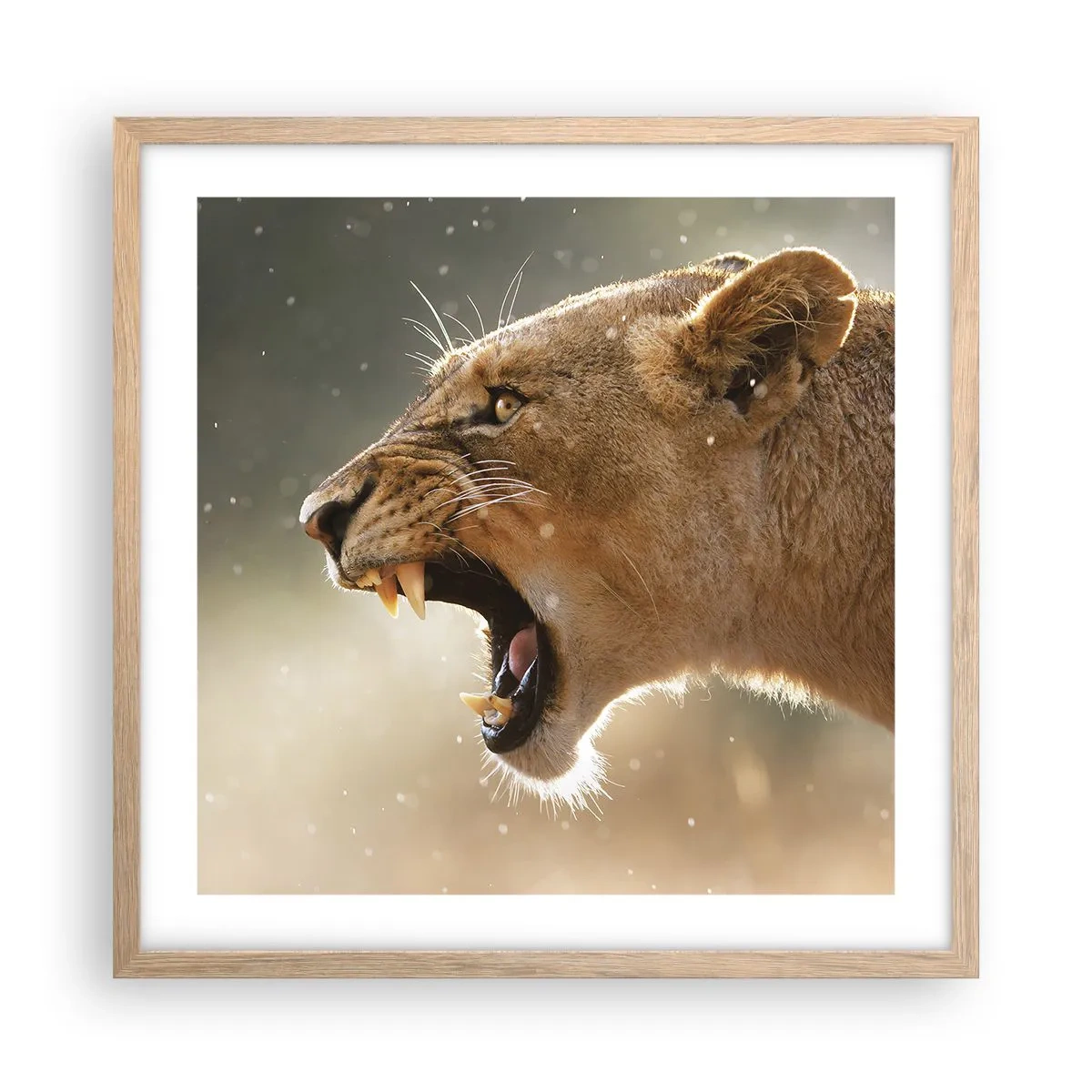 Plakat i ramme af lyst egetræ - Prøv ikke at lytte - 50x50 cm