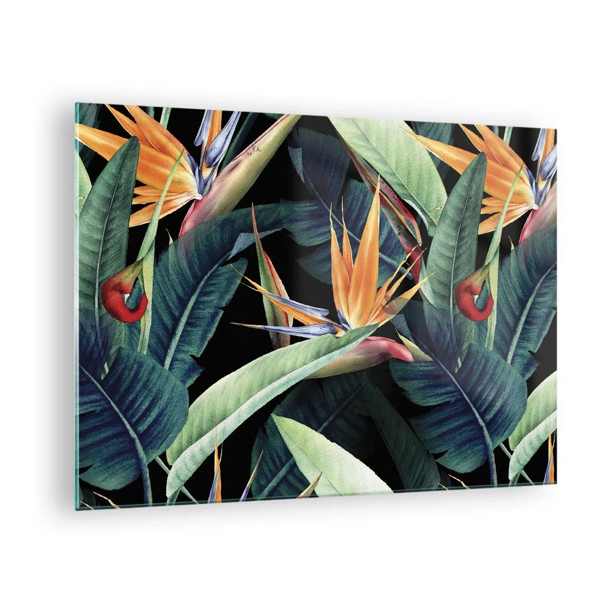 Billede på glas - Strelitzia-blomster og tropiske blade på en sort baggrund - 70x50cm - Flammeblomster i troperne - Moderne vægdekoration til stue og soveværelse ARTTOR