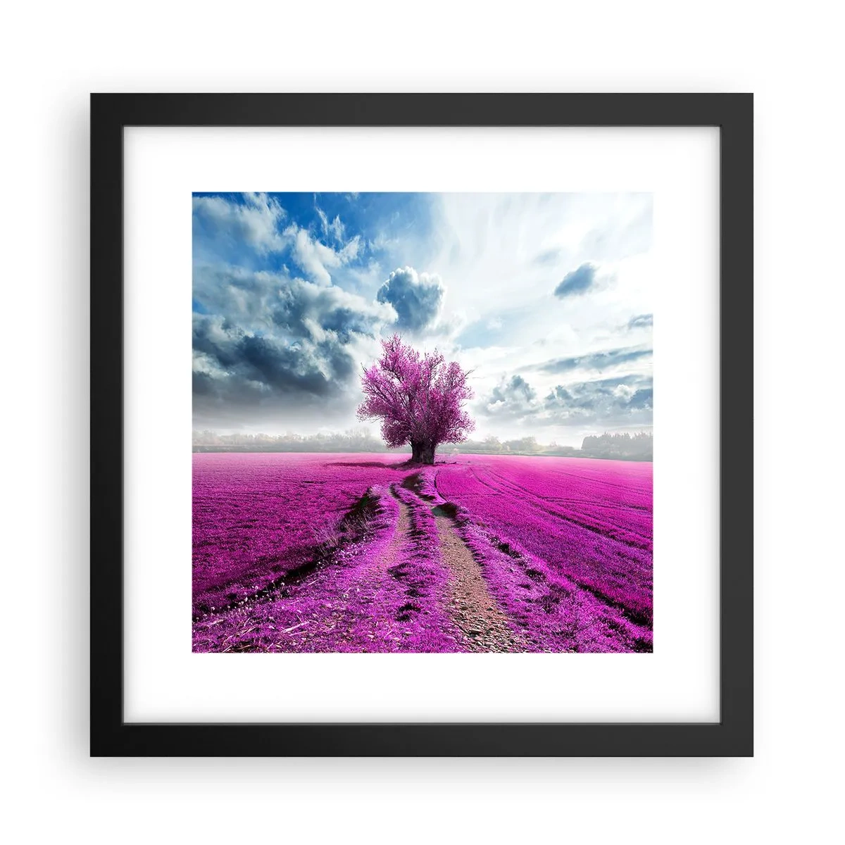 Plakat i sort ramme - Hedeslette - charmerende - 30x30 cm