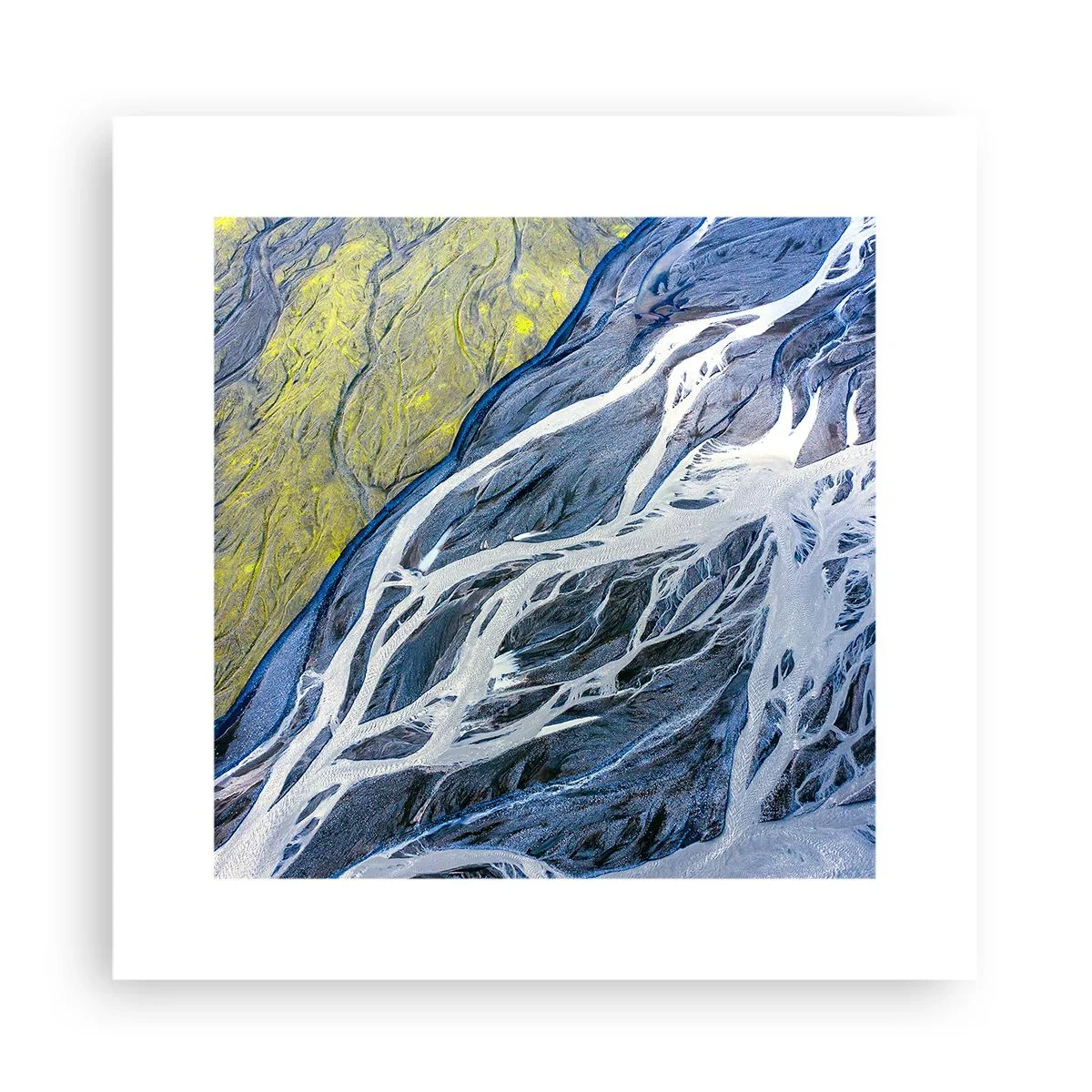 Plakat - Naturens hulemalerier - 30x30 cm