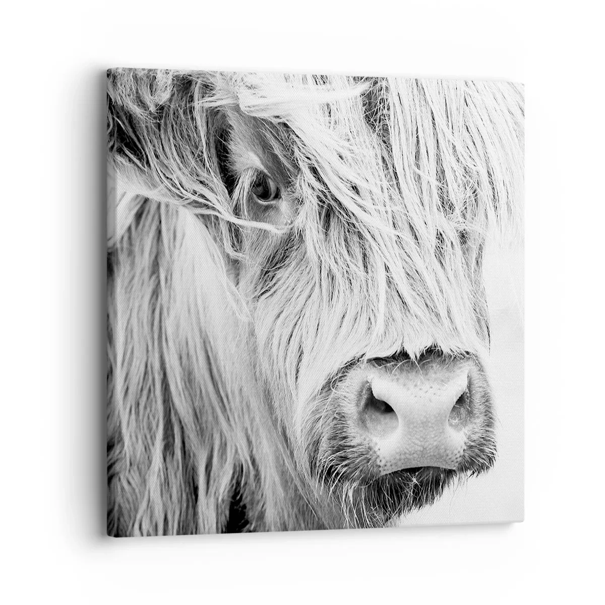 Lærredstryk - Billede på lærred - Skotsk vildmark - 30x30 cm