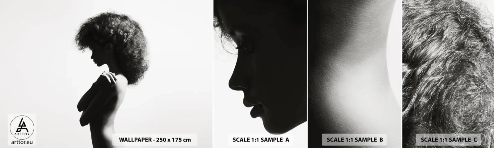 Fototapet Prøve Standard Eco - Som en blomst på en slank stilk - Kvinde, Legeme, Model - 100x30 cm