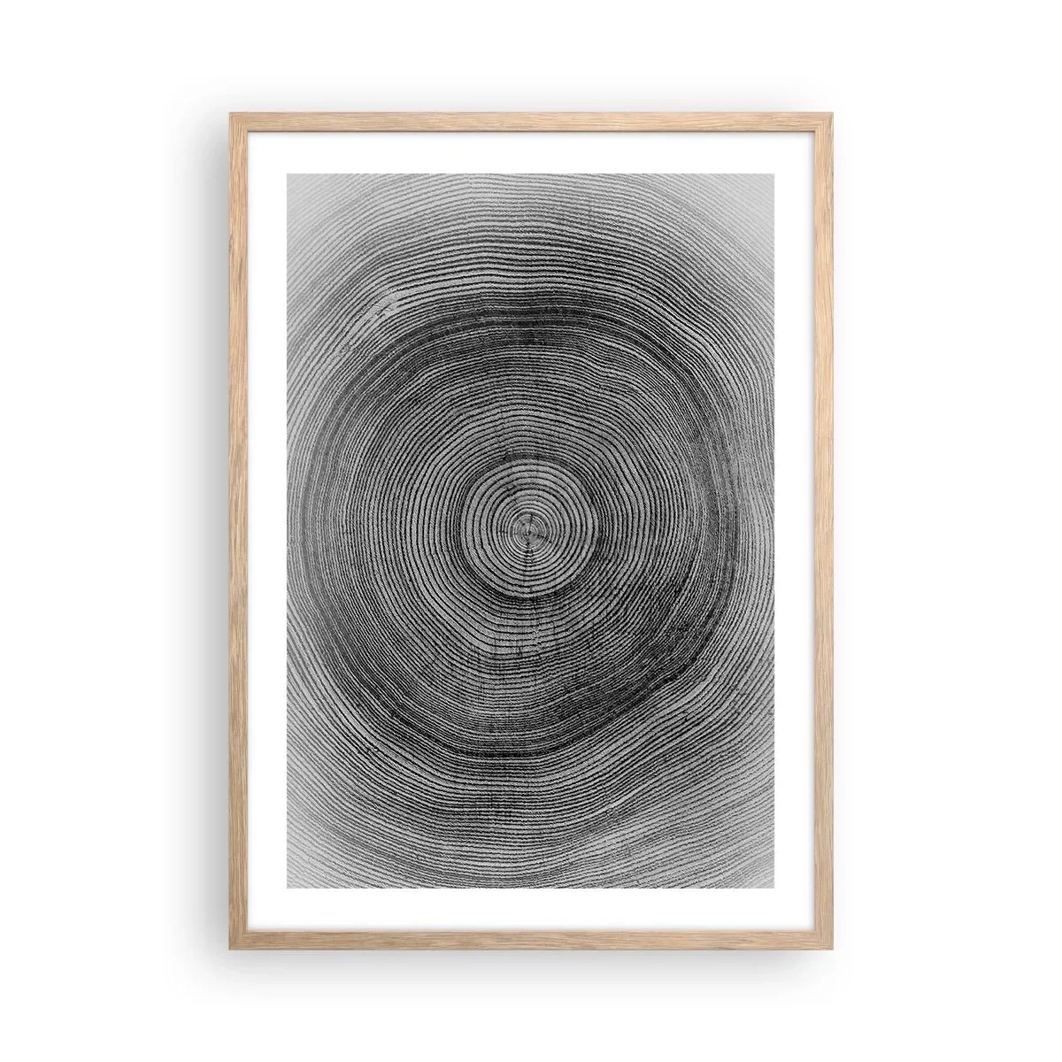 Plakat i ramme af lyst egetræ - Et tegn på tiden - 50x70 cm