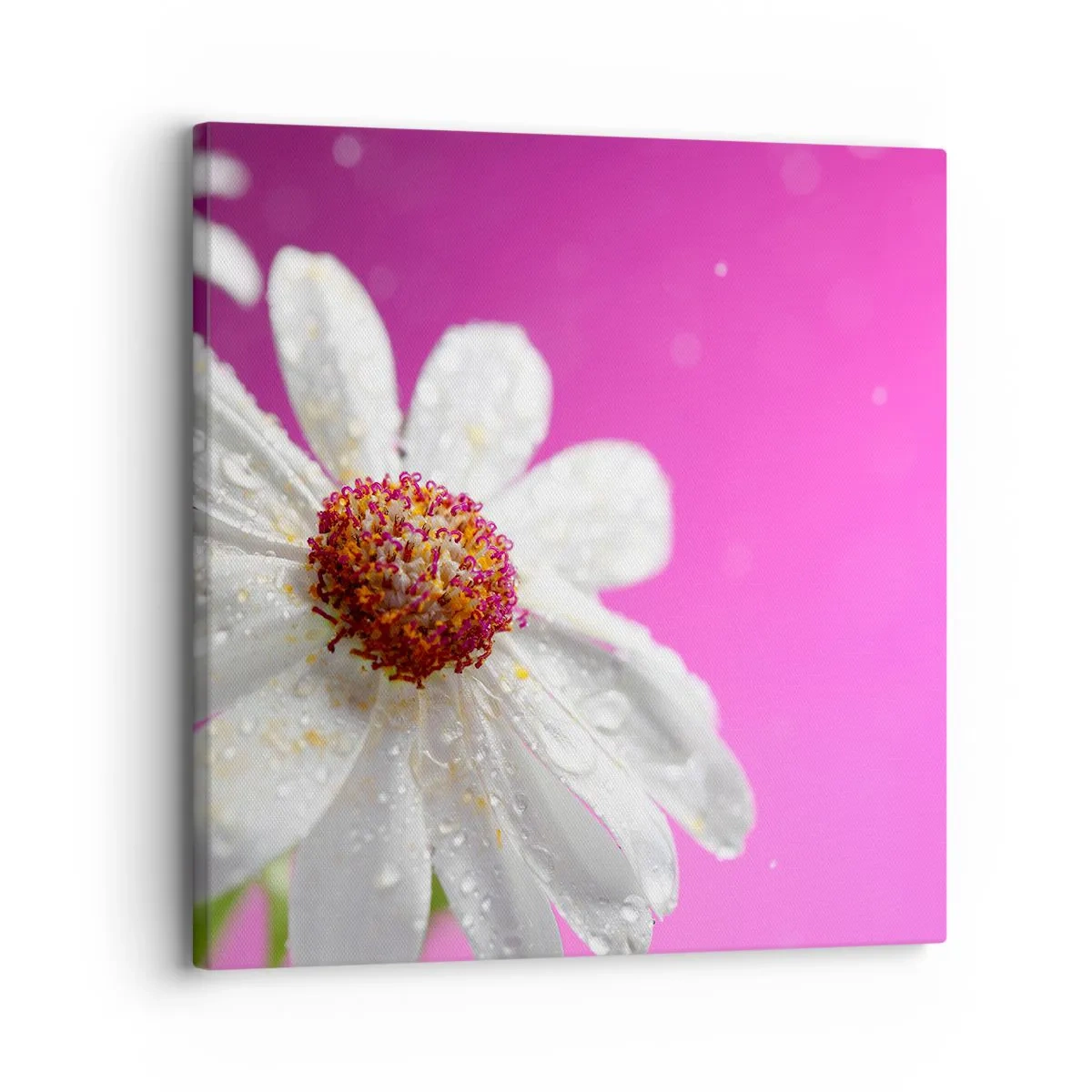 Lærredstryk - Billede på lærred - Beskedent i sin skønhed - 30x30 cm
