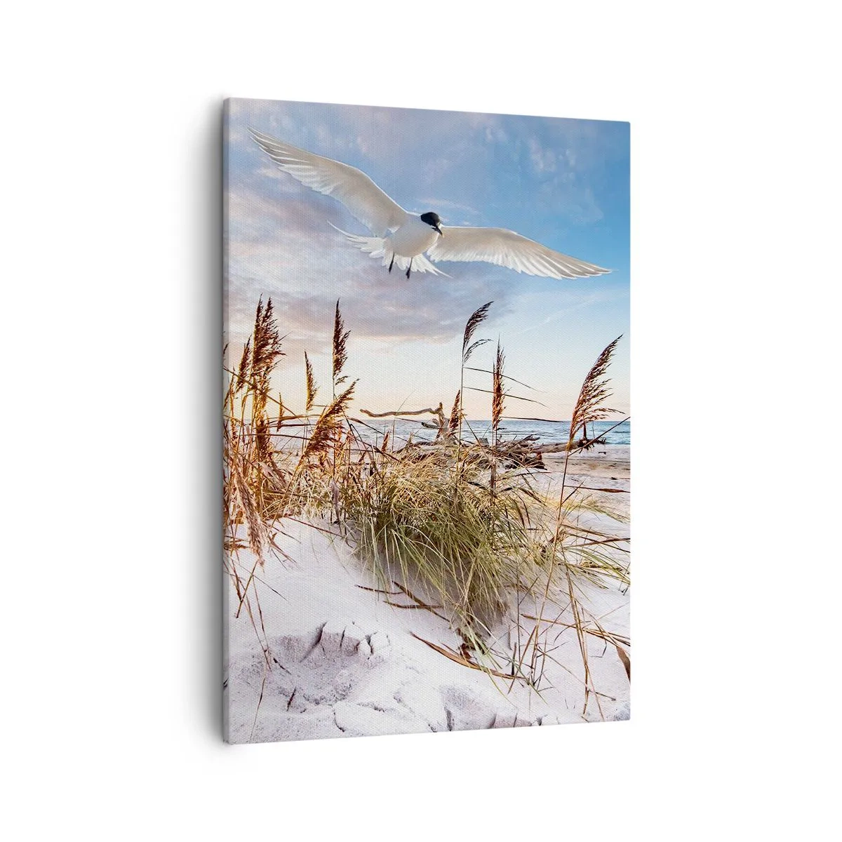 Lærredstryk - Billede på lærred - Vind fra havet - 50x70 cm